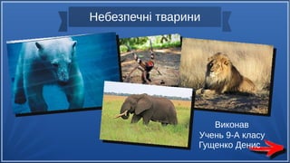Небезпечні тварини
Виконав
Учень 9-А класу
Гущенко Денис
 