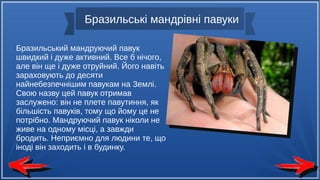 Як зробити різдвяний павук