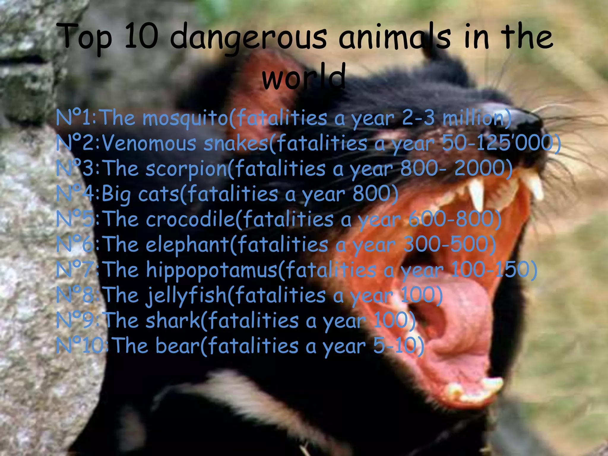 Dangerous animals in the world