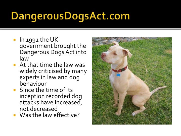 Dangerous Dogs Act V1 dangerous-dogs-act-v1
