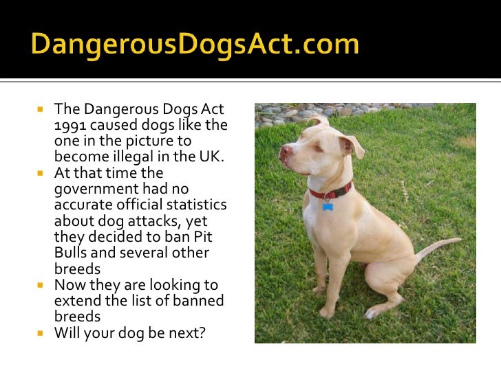 dangerous dogs act 1991 list
