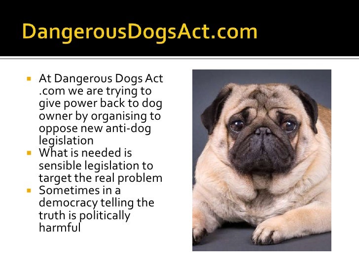 dangerous-dogs-act-v1