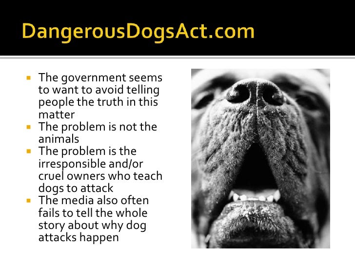 dangerous dogs act 1991 list