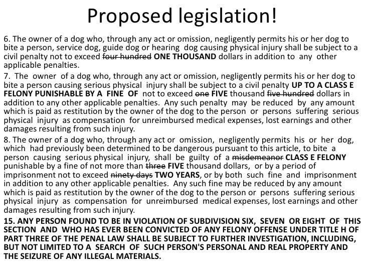 Service Dog Requirements Ny Service Dog Requirements Ny