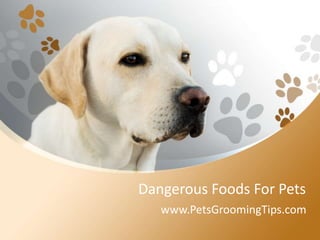 Dangerous Foods For Pets
www.PetsGroomingTips.com
 