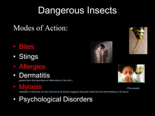 Health Risks From Insects Dangerous Insects | PPT