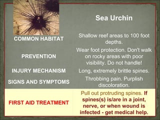 Sea Urchin 
COMMON HABITAT Shallow reef areas to 100 foot 
depths. 
PREVENTION 
Wear foot protection. Don't walk 
on rocky areas with poor 
visibility. Do not handle! 
INJURY MECHANISM Long, extremely brittle spines. 
SIGNS AND SYMPTOMS Throbbing pain. Purplish 
discoloration. 
FIRST AID TREATMENT 
Pull out protruding spines. If 
spines(s) is/are in a joint, 
nerve, or when wound is 
infected - get medical help. 
 