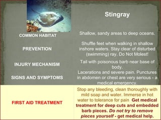 Stingray 
Shallow, sandy areas to deep oceans. 
PREVENTION 
Shuffle feet when walking in shallow 
inshore waters. Stay clear of disturbed 
(swimming) ray. Do Not Molest! 
INJURY MECHANISM Tail with poisonous barb near base of 
body. 
SIGNS AND SYMPTOMS 
Lacerations and severe pain. Punctures 
in abdomen or chest are very serious - a 
medical emergency. 
FIRST AID TREATMENT 
Stop any bleeding, clean thoroughly with 
mild soap and water. Immerse in hot 
water to tolerance for pain. Get medical 
treatment for deep cuts and embedded 
barb pieces. Do not try to remove 
pieces yourself - get medical help. 
COMMON HABITAT 
 