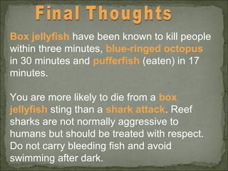 Box jellyfish have been known to kill people 
within three minutes, blue-ringed octopus 
in 30 minutes and pufferfish (eaten) in 17 
minutes. 
You are more likely to die from a box 
jellyfish sting than a shark attack. Reef 
sharks are not normally aggressive to 
humans but should be treated with respect. 
Do not carry bleeding fish and avoid 
swimming after dark. 
 