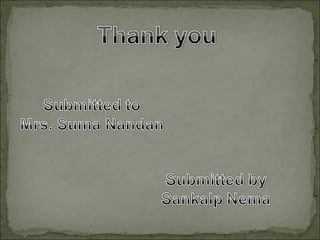 Dangerous marine creatures