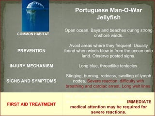 Portuguese Man-O-War 
Jellyfish 
Open ocean. Bays and beaches during strong 
onshore winds. 
PREVENTION 
Avoid areas where they frequent. Usually 
found when winds blow in from the ocean onto 
land. Observe posted signs. 
INJURY MECHANISM Long blue, threadlike tentacles. 
SIGNS AND SYMPTOMS 
Stinging, burning, redness, swelling of lymph 
nodes. Severe reaction: difficulty with 
breathing and cardiac arrest. Long welt lines. 
FIRST AID TREATMENT 
Pick off any visible tentacles. Rinse with fresh 
or salt water. Apply ice for pain. IMMEDIATE 
medical attention may be required for 
severe reactions. 
COMMON HABITAT 
 