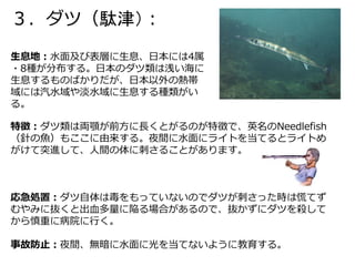 ダイビング 危険な海の生物 Dangerous sea creature | PDF