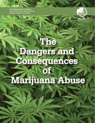 The 
U.S. Department of Justice 
Drug Enforcement Administration 
Demand Reduction Section 
Dangers and 
Consequences 
of 
May 2014 
Marijuana Abuse 
 