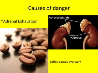 Causes of danger *Adrenal Exhaustion coffee causes overwork 
