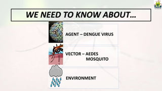 WE NEED TO KNOW ABOUT…
AGENT – DENGUE VIRUS
VECTOR – AEDES
MOSQUITO
ENVIRONMENT
 