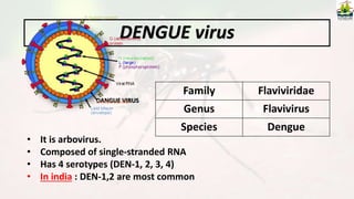 DENGUE virus
Family Flaviviridae
Genus Flavivirus
Species Dengue
DANGUE VIRUS
• It is arbovirus.
• Composed of single-stranded RNA
• Has 4 serotypes (DEN-1, 2, 3, 4)
• In india : DEN-1,2 are most common
 