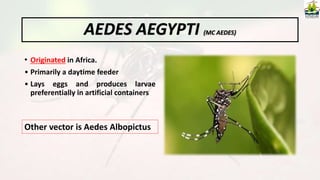 • Originated in Africa.
• Primarily a daytime feeder
• Lays eggs and produces larvae
preferentially in artificial containers
AEDES AEGYPTI (MC AEDES)
Other vector is Aedes Albopictus
 
