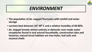 • The population of Ae. aegypti fluctuates with rainfall and water
storage
• survives best between 160-300 C and a relative humidity of 60-80%.
• Ae. aegypti breeds almost entirely in domestic man-made water
receptacles found in and around households, construction sites and
factories; natural larval habitats are tree holes, leaf axils and
coconut shells
ENVIRONMENT
 