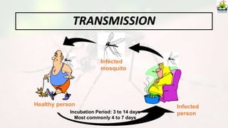 TRANSMISSION
Infected
person
Healthy person
Infected
mosquito
Incubation Period: 3 to 14 days
Most commonly 4 to 7 days
 