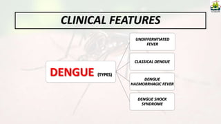 CLINICAL FEATURES
DENGUE (TYPES)
UNDIFFERNTIATED
FEVER
CLASSICAL DENGUE
DENGUE
HAEMORRHAGIC FEVER
DENGUE SHOCK
SYNDROME
 