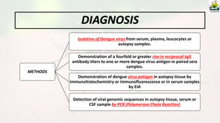 DIAGNOSIS
METHODS
Isolation of Dengue virus from serum, plasma, leucocytes or
autopsy samples.
Demonstration of a fourfold or greater rise in reciprocal IgG
antibody titers to one or more dengue virus antigen in paired sera
samples.
Demonstration of dengue virus antigen in autopsy tissue by
immunohistochemistry or immunofluorescence or in serum samples
by EIA
Detection of viral genomic sequences in autopsy tissue, serum or
CSF sample by PCR (Polymerase Chain Reaction)
 