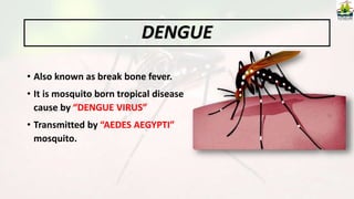 DENGUE
• Also known as break bone fever.
• It is mosquito born tropical disease
cause by “DENGUE VIRUS”
• Transmitted by “AEDES AEGYPTI”
mosquito.
 