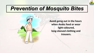 39
Avoid going out in the hours
when Aedes feed or wear
light-coloured,
long-sleeved clothing and
trousers.
Prevention of Mosquito Bites
 