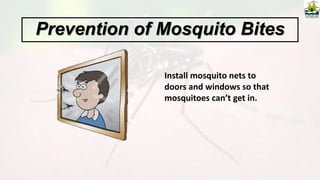 Install mosquito nets to
doors and windows so that
mosquitoes can’t get in.
Prevention of Mosquito Bites
 
