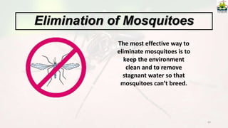 43
The most effective way to
eliminate mosquitoes is to
keep the environment
clean and to remove
stagnant water so that
mosquitoes can’t breed.
Elimination of Mosquitoes
 
