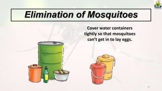 44
Cover water containers
tightly so that mosquitoes
can’t get in to lay eggs.
Elimination of Mosquitoes
 