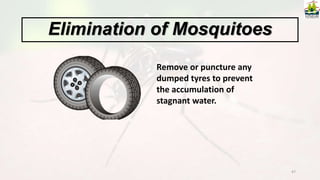 47
Remove or puncture any
dumped tyres to prevent
the accumulation of
stagnant water.
Elimination of Mosquitoes
 