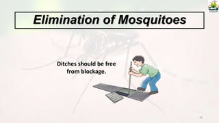 48
Ditches should be free
from blockage.
Elimination of Mosquitoes
 