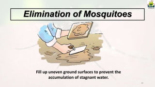 49
Fill up uneven ground surfaces to prevent the
accumulation of stagnant water.
Elimination of Mosquitoes
 