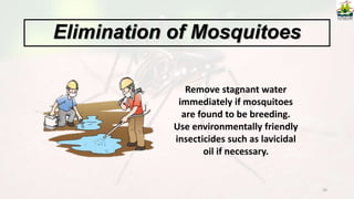 50
Remove stagnant water
immediately if mosquitoes
are found to be breeding.
Use environmentally friendly
insecticides such as lavicidal
oil if necessary.
Elimination of Mosquitoes
 
