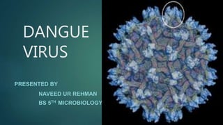 DANGUE
VIRUS
PRESENTED BY
NAVEED UR REHMAN
BS 5TH MICROBIOLOGY
 