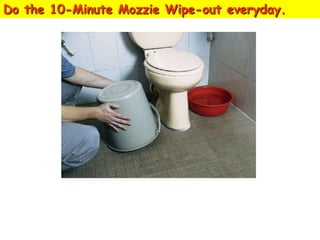 Do the 10-Minute Mozzie Wipe-out everyday.

Turn over all pails and water
storage containers.

 