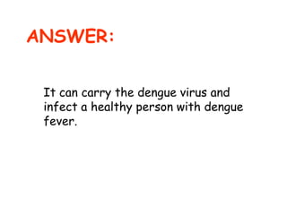 ANSWER:
It can carry the dengue virus and
infect a healthy person with dengue
fever.

 
