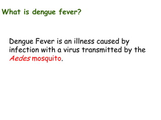 What is dengue fever?

Dengue Fever is an illness caused by
infection with a virus transmitted by the
Aedes mosquito.

 