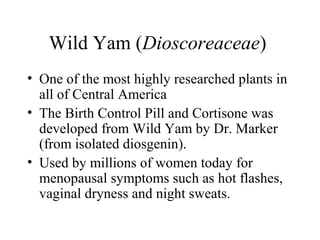 Wild Yam (Dioscoreaceae)
• One of the most highly researched plants in
all of Central America
• The Birth Control Pill and Cortisone was
developed from Wild Yam by Dr. Marker
(from isolated diosgenin).
• Used by millions of women today for
menopausal symptoms such as hot flashes,
vaginal dryness and night sweats.
 