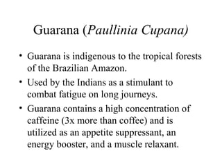 Guarana (Paullinia Cupana)
• Guarana is indigenous to the tropical forests
of the Brazilian Amazon.
• Used by the Indians as a stimulant to
combat fatigue on long journeys.
• Guarana contains a high concentration of
caffeine (3x more than coffee) and is
utilized as an appetite suppressant, an
energy booster, and a muscle relaxant.
 