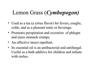Lemon Grass (Cymbopogon)
• Used as a tea (a citrus flavor) for fevers, coughs,
colds, and as a pleasant tonic or beverage.
• Promotes perspiration and excretion of phlegm
and eases stomach cramps.
• An effective insect repellent.
• Its essential oil is an antibacterial and antifungal.
Useful as a bath additive for children and infants
with rashes.
 