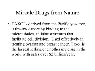 Miracle Drugs from Nature
• TAXOL- derived from the Pacific yew tree,
it thwarts cancer by binding to the
microtubules, cellular structures that
facilitate cell division. Used effectively in
treating ovarian and breast cancer, Taxol is
the largest selling chemotherapy drug in the
world with sales over $2 billion/year.
 