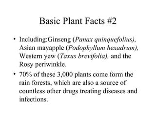 Basic Plant Facts #2
• Including:Ginseng (Panax quinquefolius),
Asian mayapple (Podophyllum hexadrum),
Western yew (Taxus brevifolia), and the
Rosy periwinkle.
• 70% of these 3,000 plants come form the
rain forests, which are also a source of
countless other drugs treating diseases and
infections.
 