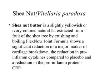 Shea Nut(Vitellaria paradoxa
• Shea nut butter is a slightly yellowish or
ivory-colored natural fat extracted from
fruit of the shea tree by crushing and
boiling FlexNow Joint Formula shows a
significant reduction of a major marker of
cartilage breakdown, the reduction in pro-
inflamm cytokines compared to placebo and
a reduction in the pro-inflamm protein-
CRP.
 