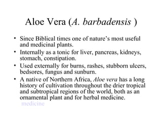 Aloe Vera (A. barbadensis )
• Since Biblical times one of nature’s most useful
and medicinal plants.
• Internally as a tonic for liver, pancreas, kidneys,
stomach, constipation.
• Used externally for burns, rashes, stubborn ulcers,
bedsores, fungus and sunburn.
• A native of Northern Africa, Aloe vera has a long
history of cultivation throughout the drier tropical
and subtropical regions of the world, both as an
ornamental plant and for herbal medicine.
medicine
 