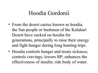 Hoodia Gordonii
• From the desert cactus known as hoodia,
the San people or bushmen of the Kalahari
Desert have sucked on hoodia for
generations, principally to raise their energy
and fight hunger during long hunting trips.
• Hoodia controls hunger and treats sickness;
controls cravings; lowers BP; enhances the
effectiveness of insulin; rids body of water.
 