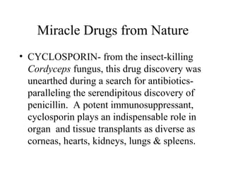 Miracle Drugs from Nature
• CYCLOSPORIN- from the insect-killing
Cordyceps fungus, this drug discovery was
unearthed during a search for antibiotics-
paralleling the serendipitous discovery of
penicillin. A potent immunosuppressant,
cyclosporin plays an indispensable role in
organ and tissue transplants as diverse as
corneas, hearts, kidneys, lungs & spleens.
 