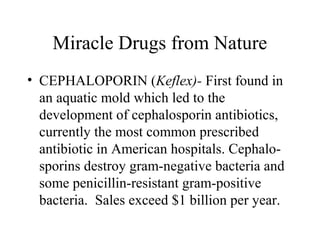 Miracle Drugs from Nature
• CEPHALOPORIN (Keflex)- First found in
an aquatic mold which led to the
development of cephalosporin antibiotics,
currently the most common prescribed
antibiotic in American hospitals. Cephalo-
sporins destroy gram-negative bacteria and
some penicillin-resistant gram-positive
bacteria. Sales exceed $1 billion per year.
 
