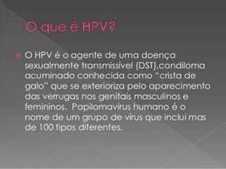Dani apresenta HPV sintomas e prevenções 