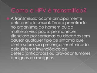 Dani apresenta HPV sintomas e prevenções 